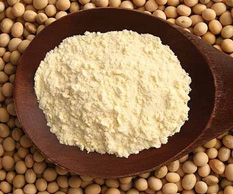 Soy protein drying