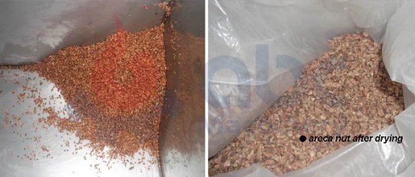 areca nut drying