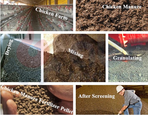 chicken manure dryer working principle