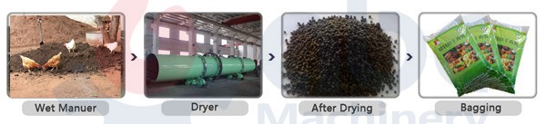 chicken manure dryer