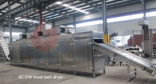 mesh belt dryer for fruit and vegetable