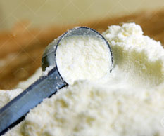 milk powder