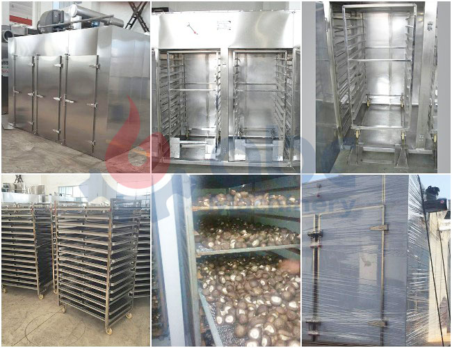 mushroom dryer machine