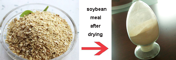 soybean meal flash drying