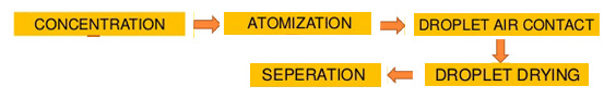 spray drying process