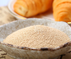 yeast drying